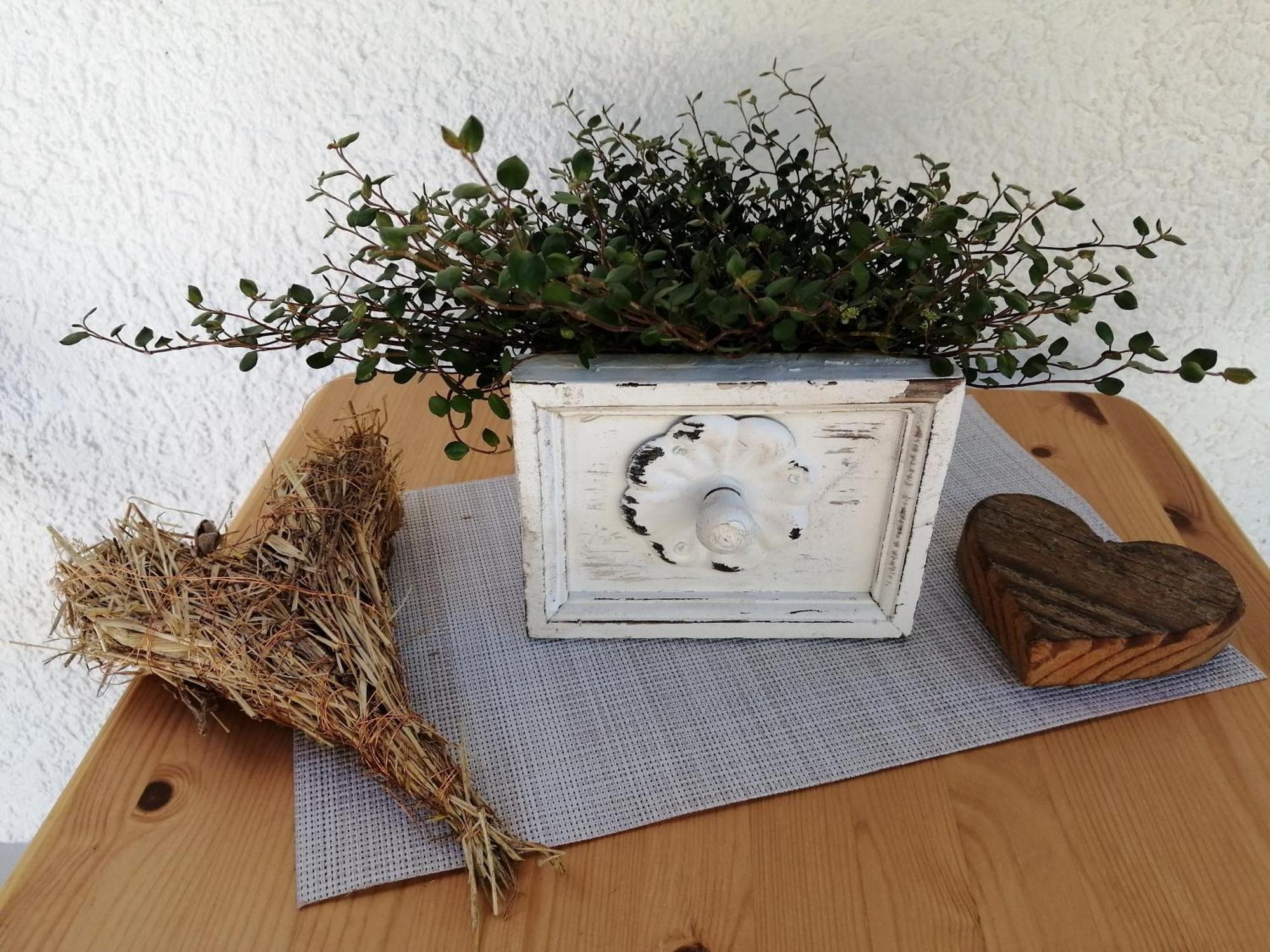 Ferienwohnung Deine Rauszeit ゼーバハ エクステリア 写真